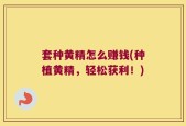 套种黄精怎么赚钱(种植黄精，轻松获利！)