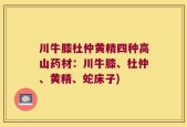 川牛膝杜仲黄精四种高山药材：川牛膝、杜仲、黄精、蛇床子)