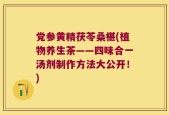 党参黄精茯苓桑椹(植物养生茶——四味合一汤剂制作方法大公开！)