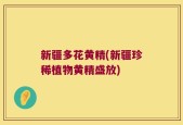 新疆多花黄精(新疆珍稀植物黄精盛放)