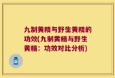 九制黄精与野生黄精的功效(九制黄精与野生黄精：功效对比分析)