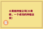 小黄精种植公司(小黄精，一个成功的种植企业)