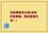 药用黄精怎么种(自种药用黄精，轻松掌握方法！)