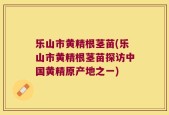 乐山市黄精根茎苗(乐山市黄精根茎苗探访中国黄精原产地之一)