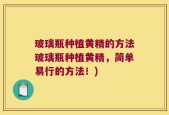 玻璃瓶种植黄精的方法玻璃瓶种植黄精，简单易行的方法！)