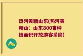 热河黄精山东(热河黄精山：山东800亩种植面积开放游客采摘)