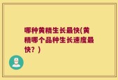 哪种黄精生长最快(黄精哪个品种生长速度最快？)