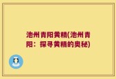 池州青阳黄精(池州青阳：探寻黄精的奥秘)