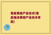 娄底黄精产业技术(娄底推进黄精产业技术革新)