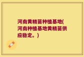 河南黄精苗种植基地(河南种植基地黄精苗供应稳定。)