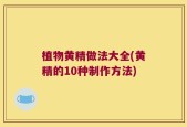 植物黄精做法大全(黄精的10种制作方法)