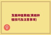 发展种植黄精(黄精种植技巧及注意事项)