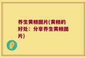 养生黄精图片(黄精的好处：分享养生黄精图片)