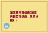 湄潭黄精苗供应(湄潭黄精苗现供应，优质快捷！)