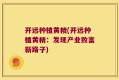 开远种植黄精(开远种植黄精：发现产业致富新路子)
