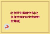 北京野生黄精分布(北京自然保护区中发现野生黄精)
