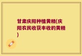 甘肃庆阳种植黄精(庆阳农民收获丰收的黄精)