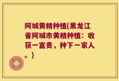 阿城黄精种植(黑龙江省阿城市黄精种植：收获一富贵，种下一家人。)