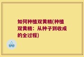 如何种植双黄精(种植双黄精：从种子到收成的全过程)