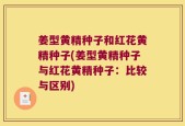 姜型黄精种子和红花黄精种子(姜型黄精种子与红花黄精种子：比较与区别)