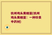 杭州鸡头黄精苗(杭州鸡头黄精苗：一种珍贵中药材)