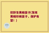 挖野生黄精苗子(发现黄精珍稀苗子，保护有望！)