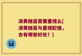 滇黄精苗需要重楼么(滇黄精苗与重楼配植，会有哪些好处？)