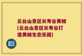 云台山景区长寿谷黄精(云台山景区长寿谷打造黄精生态乐园)