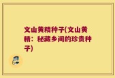 文山黄精种子(文山黄精：秘藏乡间的珍贵种子)