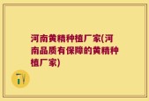河南黄精种植厂家(河南品质有保障的黄精种植厂家)