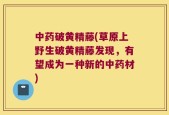 中药破黄精藤(草原上野生破黄精藤发现，有望成为一种新的中药材)