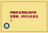 判断野生黄精(保护野生黄精，呼吁公众关注.)