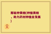 那能种黄精(种植黄精，助力药材种植业发展)