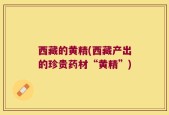 西藏的黄精(西藏产出的珍贵药材“黄精”)