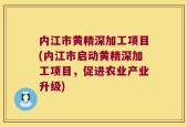内江市黄精深加工项目(内江市启动黄精深加工项目，促进农业产业升级)