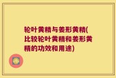 轮叶黄精与姜形黄精(比较轮叶黄精和姜形黄精的功效和用途)