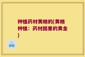 种植药材黄精的(黄精种植：药材园里的黄金)