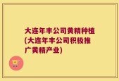大连年丰公司黄精种植(大连年丰公司积极推广黄精产业)
