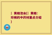 氵黄精泡水(氵黄精：珍稀的中药材重点介绍)