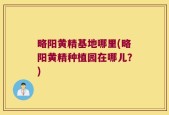 略阳黄精基地哪里(略阳黄精种植园在哪儿？)