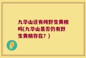 九华山还有纯野生黄精吗(九华山是否仍有野生黄精存在？)
