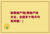 制黄精产地(黄精产地大全，全国多个地方均有种植！)