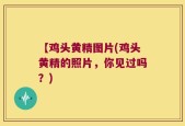 【鸡头黄精图片(鸡头黄精的照片，你见过吗？)