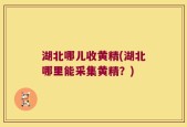 湖北哪儿收黄精(湖北哪里能采集黄精？)