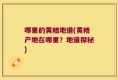 哪里的黄精地道(黄精产地在哪里？地道探秘)