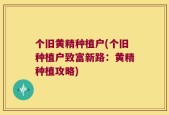 个旧黄精种植户(个旧种植户致富新路：黄精种植攻略)