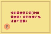 沈阳黄精苗公司(沈阳黄精苗厂家的优质产品让客户信赖)