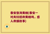 泰安张涛黄精(泰安一对夫妇拯救黄精鸡，感人救援故事)