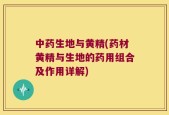 中药生地与黄精(药材黄精与生地的药用组合及作用详解)