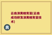 云南滇黄精育苗(云南成功研发滇黄精育苗技术)
